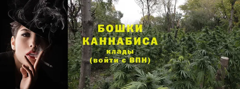 Бошки марихуана Ganja  Гороховец 